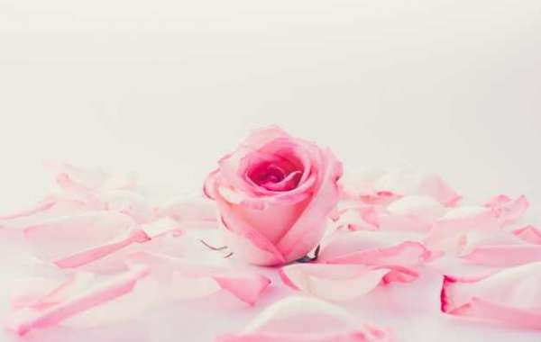PERFECT OCCASION TO GIVE PINK ROSES