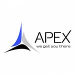 Apex Infotech