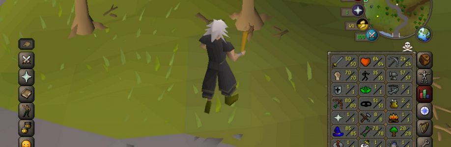 In RuneScape there is a good deal of things to do
