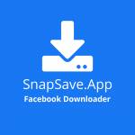 SnapsaveApp Facebook Downloader