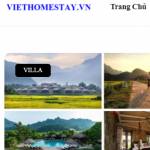Việt Homestay