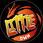 Littleowh Anime Store