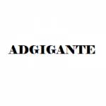 adgigante Web Development Company