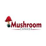 Buy Mushrooms Canada