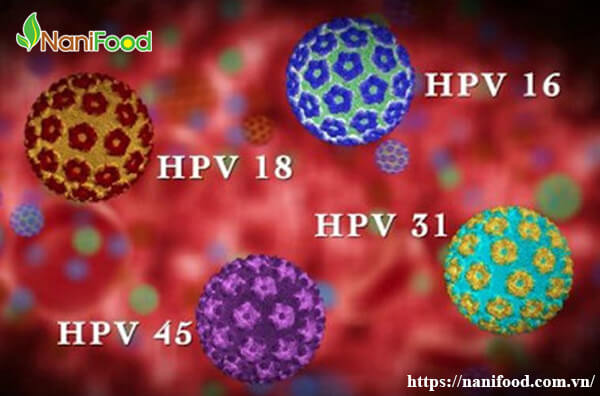Virus HPV nam giới có bị nhiễm hay không | Nanifood