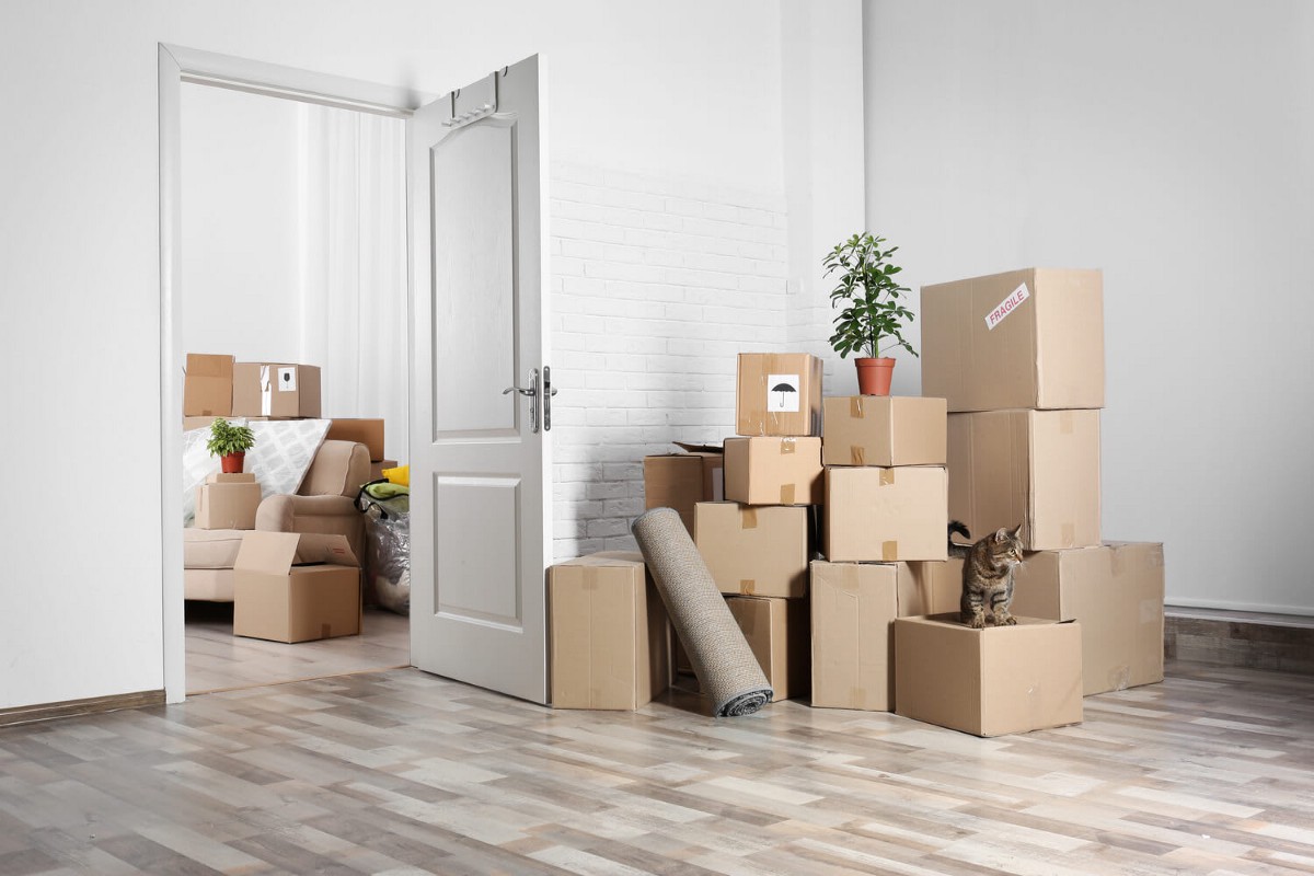 Things You Need To Consider While Starting A Moving Company | by BusinessRocket, Inc | Feb, 2022 | Medium