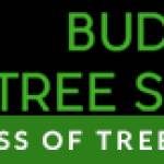 Budget Tree service