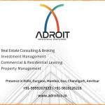 adroit Group