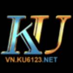 Vn K u6123