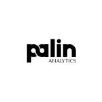 Palin Analytics