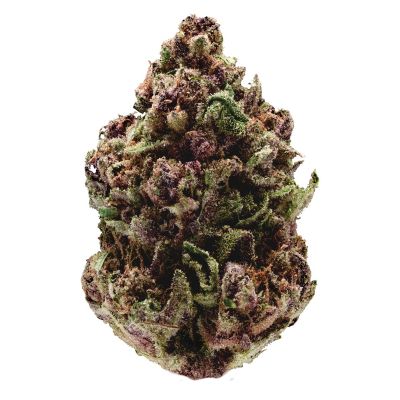 Feminized and autoflowering cannabis seeds  from growerschoice are the weedseeds best in the world