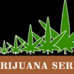 Marijuana Series
