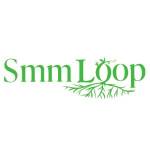 Smm Loop