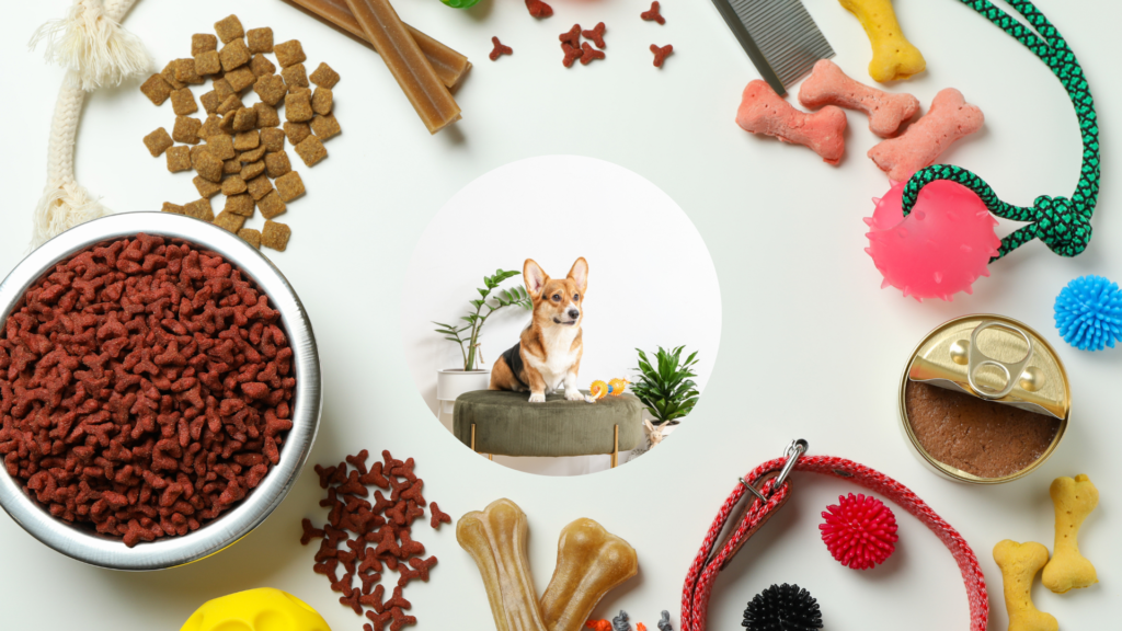 Accessories that your Pet needs - Perfectail