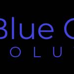 blue crocus