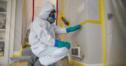 Short Summary Of How Important Professional Mould Cleaning