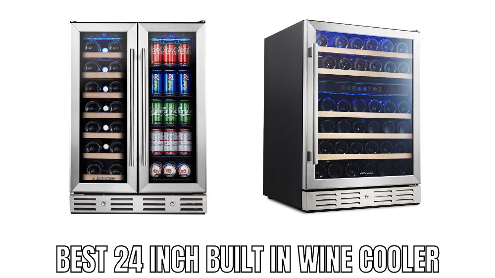 Top 10 Best 24 Inch Built In Wine Cooler Reviews in 2023