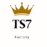 TS7 Factory