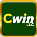 CWIN LLC